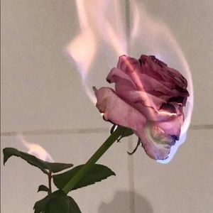 Meet your Posher, Coral